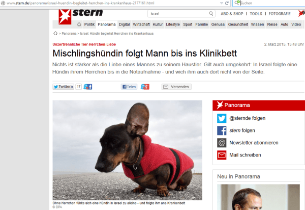 'Bildangebot' auf stern.de